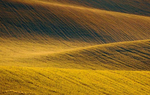 Moot_Court_2025_thumbnail